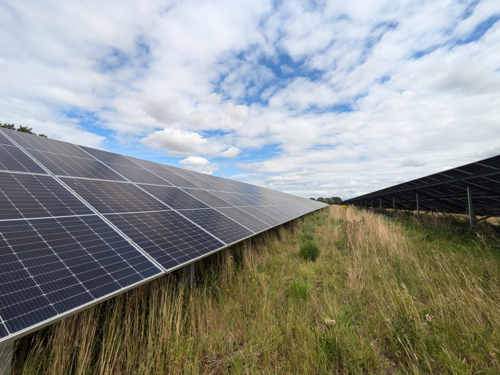 Solar panels in a field.